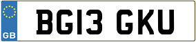 Truck License Plate